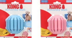 Speelgoed|ohgreen Kong puppy activity ball m