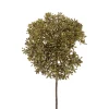 Sfeermakers|Herfst|ohgreen Kunstbloem eupatorium