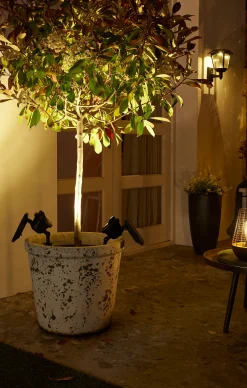 Verlichting|Ecocheques|ohgreen Lamp Texas Solar