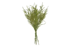 Sfeermakers|ohgreen Liguster