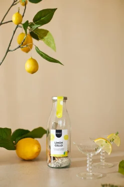 Apéro Moment|Drank|ohgreen Limoncello