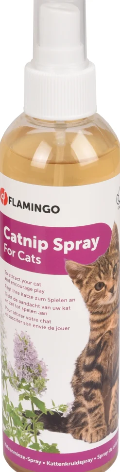 Verzorging|ohgreen Lokstof premium care derek  catnip oranje