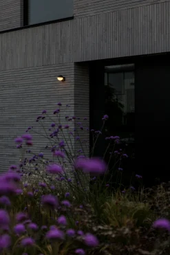 Ecocheques|Verlichting|ohgreen Looma wandlamp