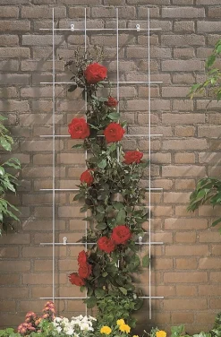 Bind En Steun|Ecocheques|ohgreen Metalen klimrek grijs