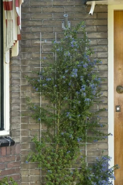 Bind En Steun|Ecocheques|ohgreen Metalen klimrek groen