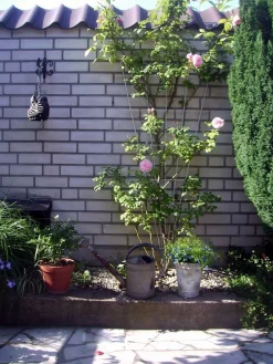 Bind En Steun|Ecocheques|ohgreen Metalen klimrek V-vorm grijs