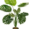 Sfeermakers|ohgreen Monstera in pot