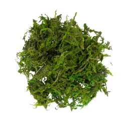 Lemax Kerstdorpen|ohgreen Mos groen 30g