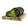 Ecocheques|Bloeiende Planten|ohgreen Moss arrangement