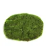 Sfeermakers|ohgreen Mosschijf marchantiophyta xs