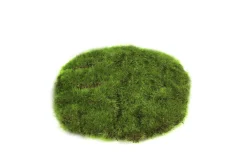 Sfeermakers|ohgreen Mosschijf marchantiophyta xs