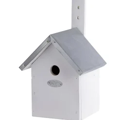 Kooien|ohgreen Nestkast Pimpelmees Wit