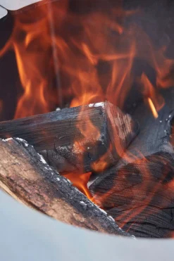 Bbq|ohgreen Nestor Original corten staal