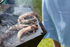 Bbq|ohgreen Nestor Original zwart
