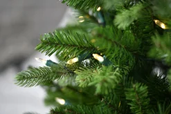 Kerstbomen Kunststof|Kerstbomen|ohgreen Norfolk pe table tree w/pot 137cm 200l transfo