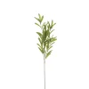 Sfeermakers|ohgreen Olijf branche groen - l85cm