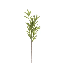 Sfeermakers|ohgreen Olijf branche groen - l85cm