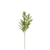 Sfeermakers|ohgreen Olijf branche groen - l55cm