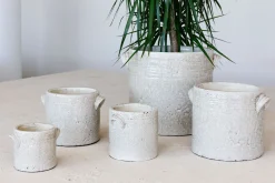 Potten En Vazen|ohgreen Orchidee pot dune