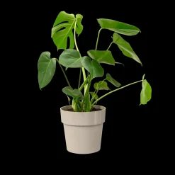 Ecocheques|Potten En Vazen|ohgreen ORIGINAL ROND 30CM WARM GRIJS