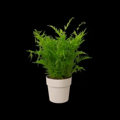 Ecocheques|Potten En Vazen|ohgreen ORIGINAL ROND 16CM WARM GRIJS