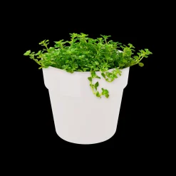 Ecocheques|Potten En Vazen|ohgreen ORIGINAL ROND MINI 11CM WIT