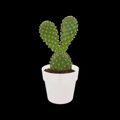 Ecocheques|Potten En Vazen|ohgreen ORIGINAL ROND MINI 7CM WIT
