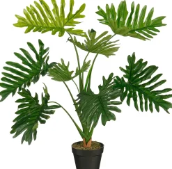 Sfeermakers|ohgreen Philodendron in pot