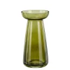 Potten En Vazen|Herfst|ohgreen Pim amaryllis vaas glas - h18xd9