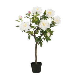 Sfeermakers|ohgreen Pioen in pot - l40xb50xh96cm