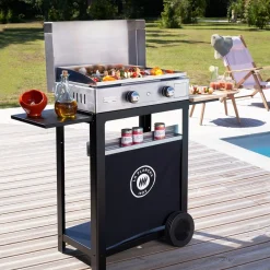 Andere Toestellen|ohgreen Plancha gas RVS duo Edition 260 gas