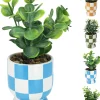 Sfeermakers|ohgreen Plant in keramische pot 18cm - 4ass