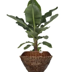 Potten En Vazen|ohgreen Planter fijn aardewerk bruin 31.5x31.5x20cm