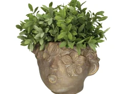 Potten En Vazen|ohgreen Planter gezicht beton goud