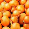Plantgroente|Ecocheques|ohgreen Plantsjalot yellow moon 7/15 500g