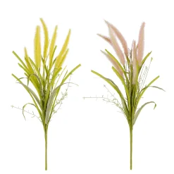 Sfeermakers|ohgreen Pluimgras - l58cm