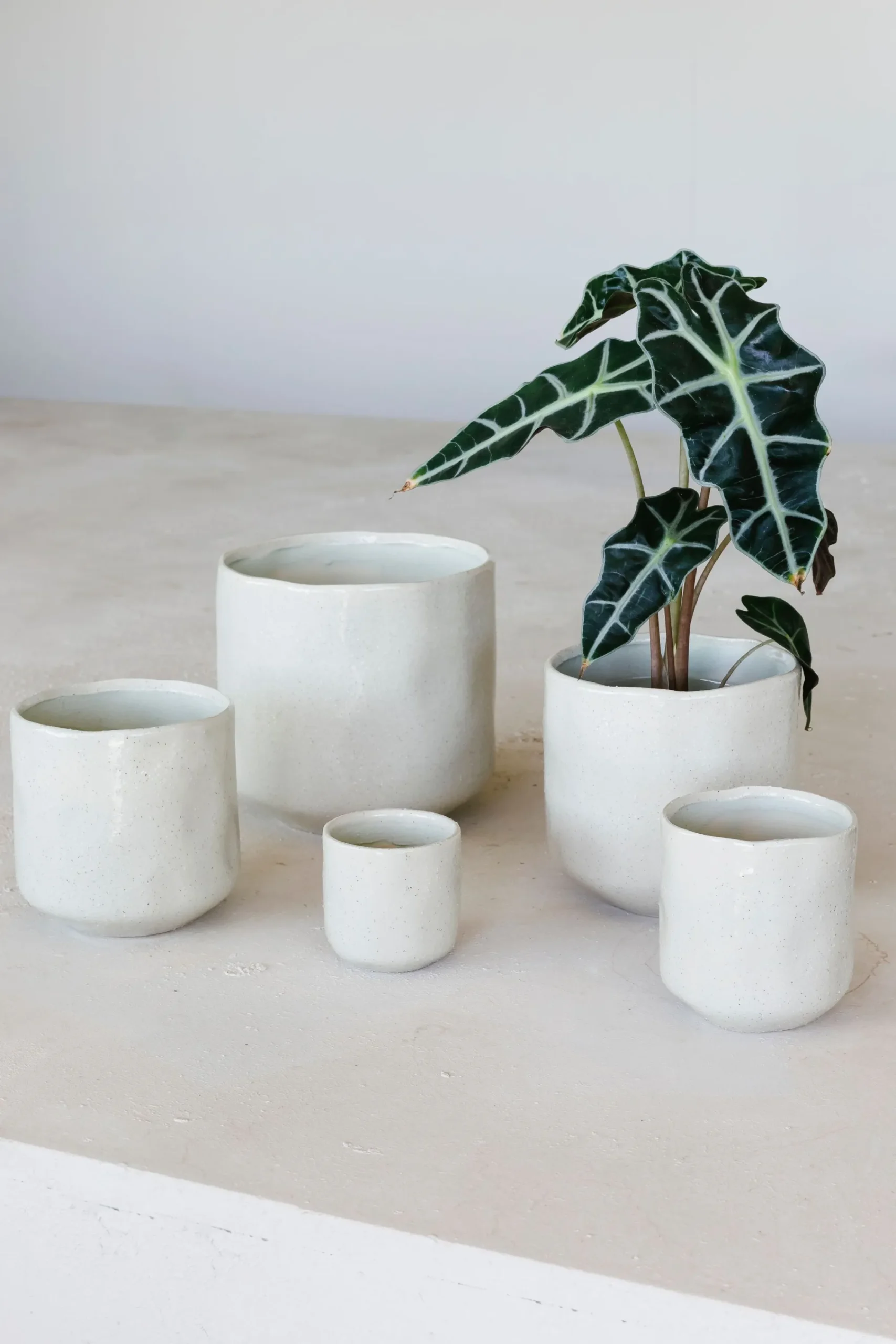 Potten En Vazen|ohgreen Pot glisten