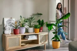 Potten En Vazen|Ecocheques|ohgreen Pot jazz rond 19cm amber geel