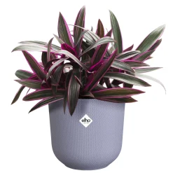 Potten En Vazen|Ecocheques|ohgreen Pot jazz rond 19cm lavendel lila