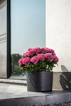 Kunststof|Ecocheques|ohgreen Pot Respect met reservoir 20x20h17 zwart-antraciet