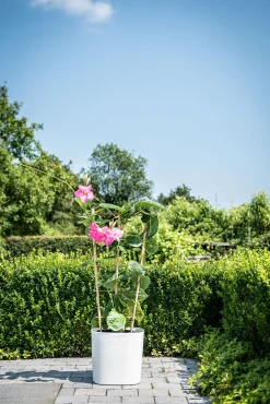Kunststof|Ecocheques|ohgreen Pot Respect met reservoir25x25h21 wit