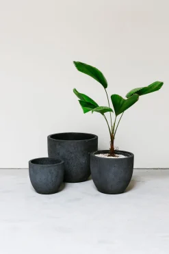 Potten En Vazen|ohgreen Pot rond crest