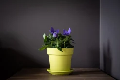 Kunststof|Ecocheques|ohgreen Pot rond happy 16 cm lime