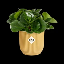 Potten En Vazen|Ecocheques|ohgreen Pot vibes fold 11cm botergeel
