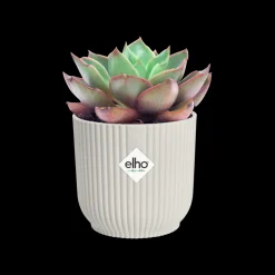 Potten En Vazen|Ecocheques|ohgreen Pot vibes fold 11cm delicate roze