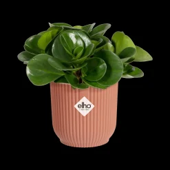 Potten En Vazen|Ecocheques|ohgreen Pot vibes fold 11cm delicate roze