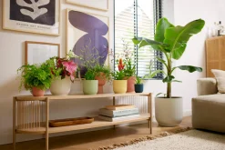 Ecocheques|Potten En Vazen|ohgreen Pot vibes fold 14cm delicate roze