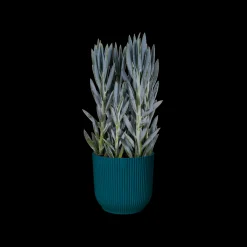 Potten En Vazen|Ecocheques|ohgreen Pot vibes fold 25cm diepblauw