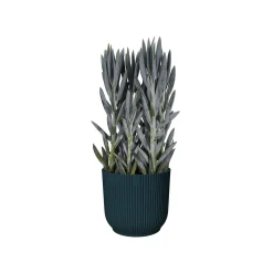 Potten En Vazen|Ecocheques|ohgreen Pot vibes fold 25cm diepblauw