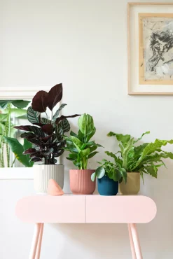 Ecocheques|Potten En Vazen|ohgreen Pot vibes fold 14cm diepblauw